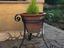 Immagine 2
