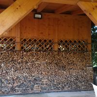 vecchia scala a pioli in legno