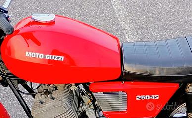 Serbatoio e fianchetti moto Guzzi TS