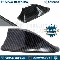 Antenna PINNA SQUALO per RENAULT VERA