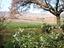 Immagine 27