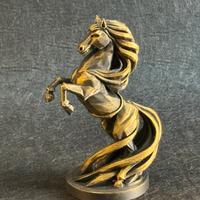 Trofeo cavallo