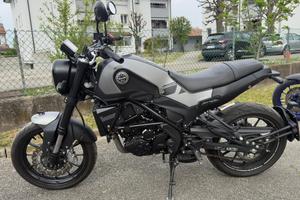 Leoncino benelli 250