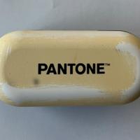 Cuffie auricolari PANTONE wireless