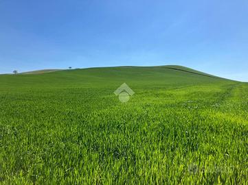 TERRENO A TORREMAGGIORE