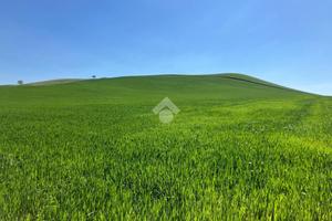 TERRENO A TORREMAGGIORE