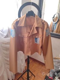 Cosplay Attack On Titan