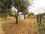 Immagine 24