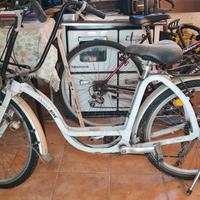 bicicletta Family Bike 