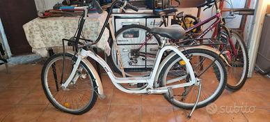 bicicletta Family Bike 