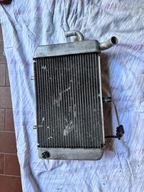Radiatore completo Yamaha Tricity 300 originale co