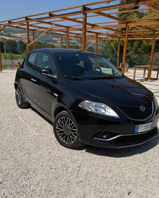 Lancia Ypsilon 1.3 MJT 16V 95 CV 5 porte S&S Plati