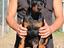 Immagine 1