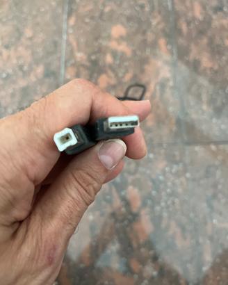 Cavo Usb-A Maschio / Maschio Usb-B