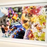 quadro carnevale venezia