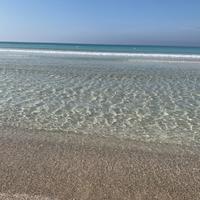 Appartamenti a baia verde zona movida 8/20 posti