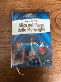 Alice nel paese delle meraviglie