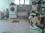 Immagine 16