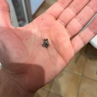 Charm pandora x marvel wanda vision