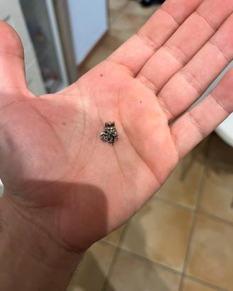 Charm pandora x marvel wanda vision