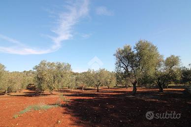 TER. RESIDENZIALE A OSTUNI