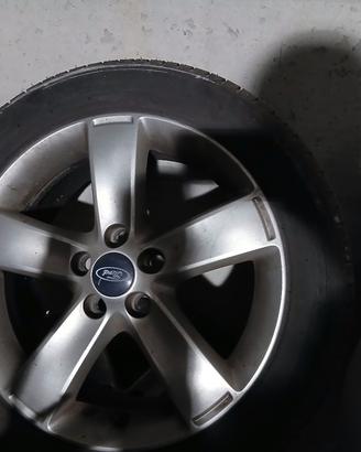 cerchi in lega ford