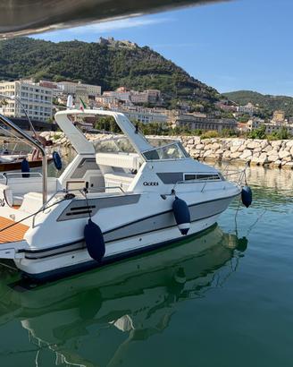 Gobbi 23cabin
