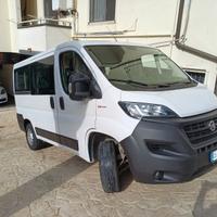 Fiat ducato 9 posti