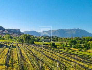 Cascina/Casale - Cavaion Veronese