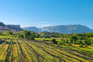 Cascina/Casale - Cavaion Veronese