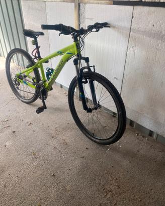 rockrider