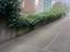 Immagine 9