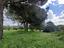 Immagine 13