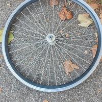 ruota mtb 26" anteriore
