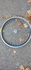 ruota mtb 26" anteriore