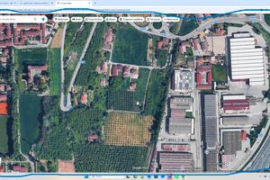 Piccolo noccioleto a Cherasco zona isorella/moglia