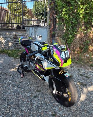 ohvale 190 GP2