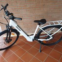 bicicletta elettrica