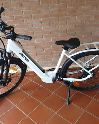 bicicletta elettrica