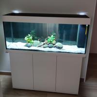 Acquario rio Juwel