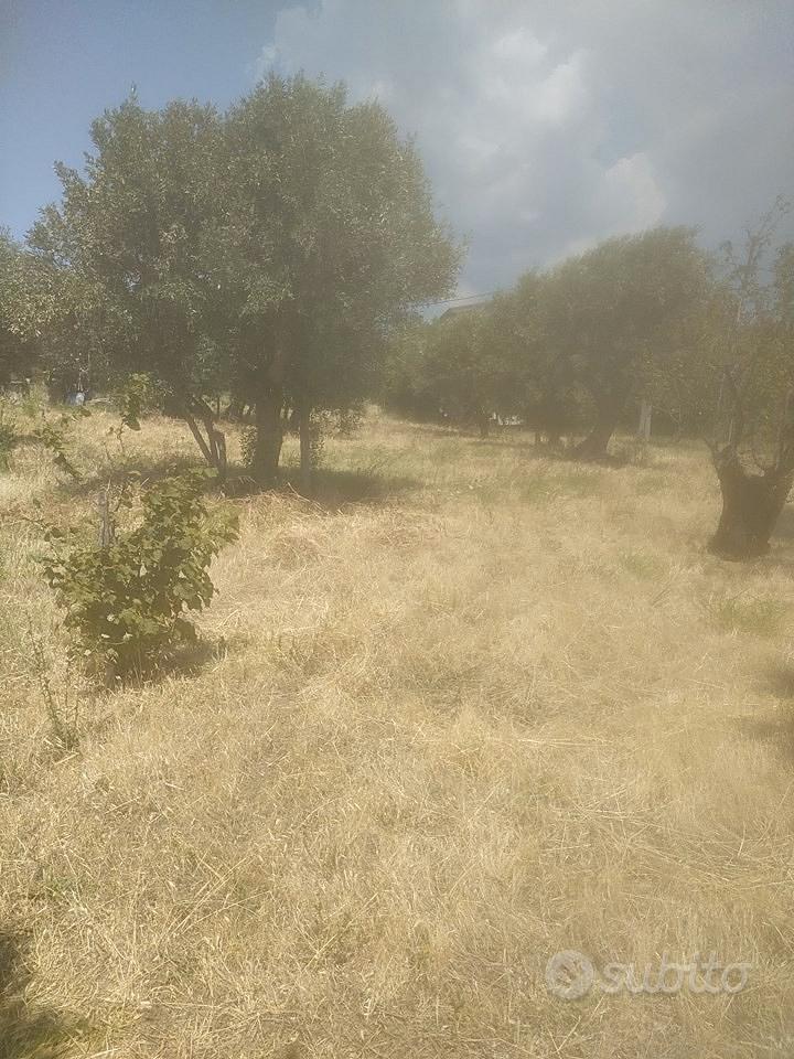 Terreno Agricolo e Intercluso. - Vista 4