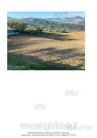 Terreno Agricolo Piozzano [A4353298]