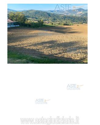 Terreno Agricolo Piozzano [A4353298]