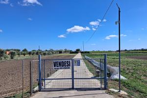Azienda agricola avviata - Francavilla Fontana(br)