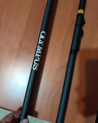 Canna da pesca