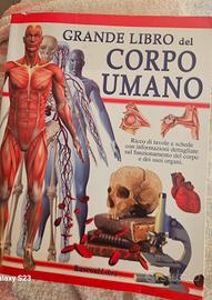il corpo umano