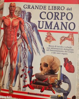 il corpo umano