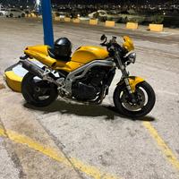 Triumph daytona 955i