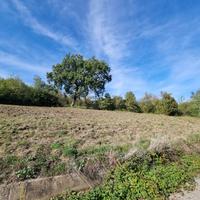 Terreno agricolo pianeggiante e fronte strada