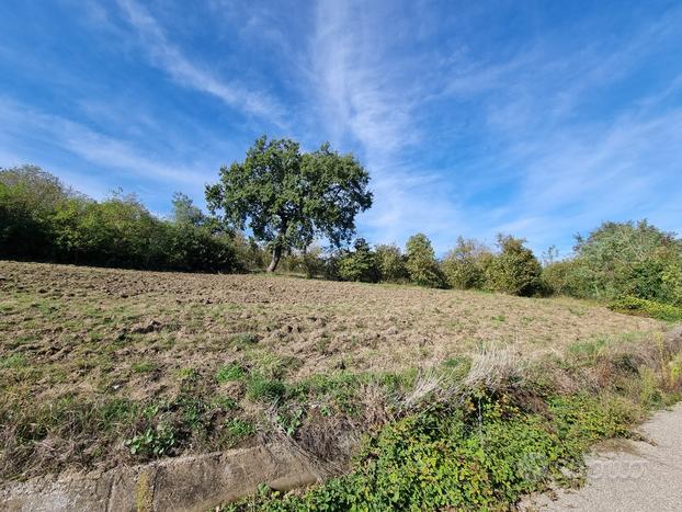 Terreno agricolo pianeggiante e fronte strada